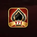 Y71 Game