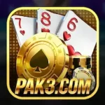 Pak3 Game